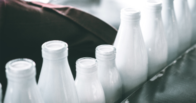Ceny skupu mleka netto – listopad 2021