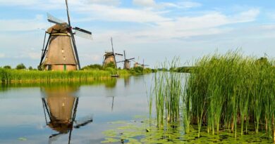 Holandia: Azot powinien zostać obniżony o 70% w kluczowych obszarach