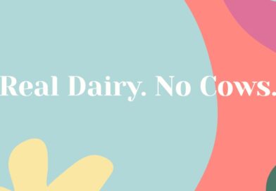 Prawdziwe mleko bez krowy – hasło nowego startupu Remilk Care