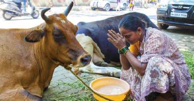 Indie: Perspektywy i rozwój mleczarstwa w 2023