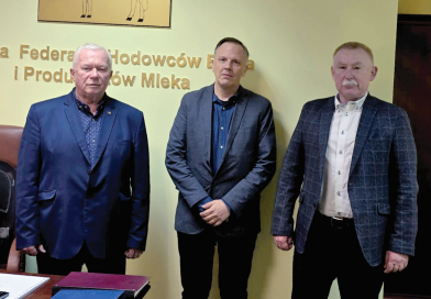 Skutecznie budujmy odporność stad mlecznych