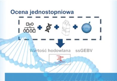 Lepsza genetyka w jednym kroku – zmiany, które się opłacają