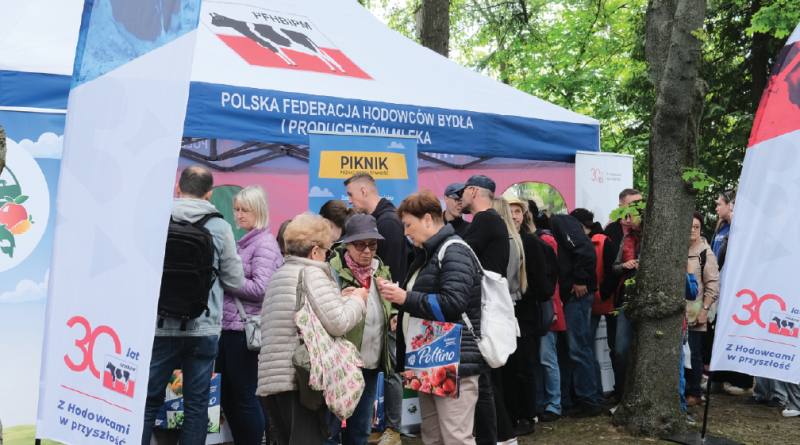 Mleczna uczta na Służewcu