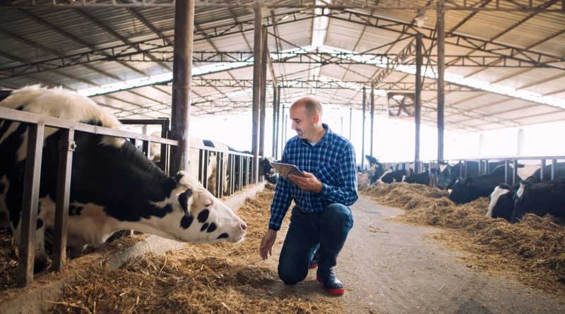 DSCC – Nowe narzędzie diagnostyczne w walce z mastitis u krów mlecznych