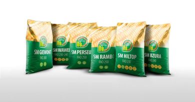 Nowoczesna genetyka kiszonkowa od Hodowli Roślin Smolice! Nowoczesna genetyka kiszonkowa od Hodowli Roślin Smolice!