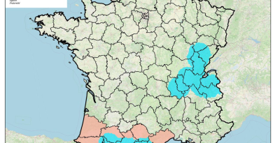 Zakazują importu, ubojów i wypasu bydła, a choroba w odwrocie Zakazują importu, ubojów i wypasu bydła, a choroba w odwrocie