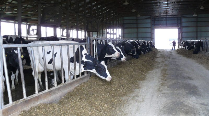 Polsko-czeskie konkury. Dobra współpraca. Porównujemy branże Polsko-czeskie konkury. Dobra współpraca. Porównujemy branże