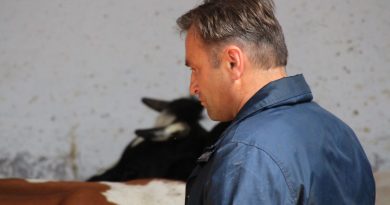 Czas na głębszą selekcję. Kiedy, jeśli nie teraz Czas na głębszą selekcję. Kiedy, jeśli nie teraz