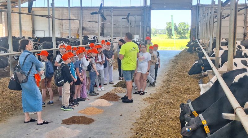 Koniec z mitem fiolotowej krowy. Chodźcie, zobaczcie, jak żyją krowy Koniec z mitem fiolotowej krowy. Chodźcie, zobaczcie, jak żyją krowy