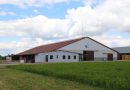 Będzie powiązanie wydajności krów z ziemią. Ten kraj posuwa się jeszcze dalej Będzie powiązanie wydajności krów z ziemią. Ten kraj posuwa się jeszcze dalej