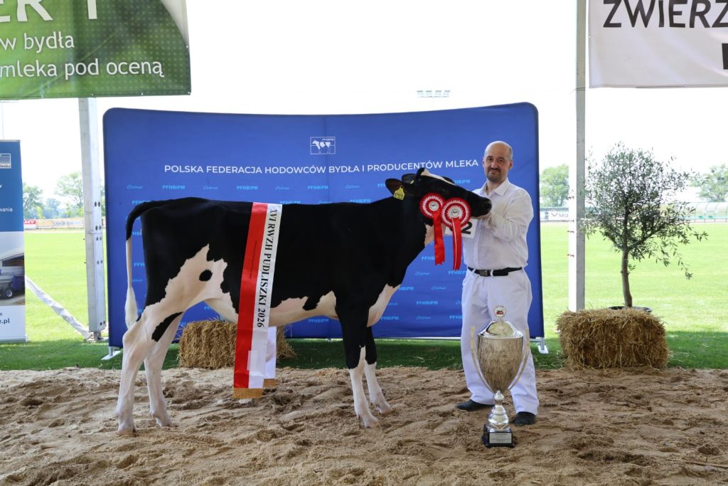 Dery, superczempion z Pudliszek