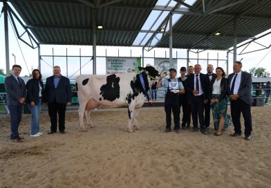 Triumf hodowców. Znamy superczempionki wystawy w Bratoszewicach Triumf hodowców. Znamy superczempionki wystawy w Bratoszewicach