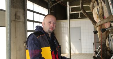 SDCT w praktyce. Jak bezpiecznie ograniczyć antybiotyki przy zasuszeniu? SDCT w praktyce. Jak bezpiecznie ograniczyć antybiotyki przy zasuszeniu?