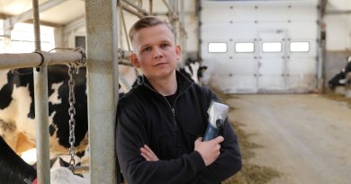 Krowa na wybiegu, zysk w oborze. Sztuka fittingu i nowoczesnej hodowli na Podlasiu Krowa na wybiegu, zysk w oborze. Sztuka fittingu i nowoczesnej hodowli na Podlasiu