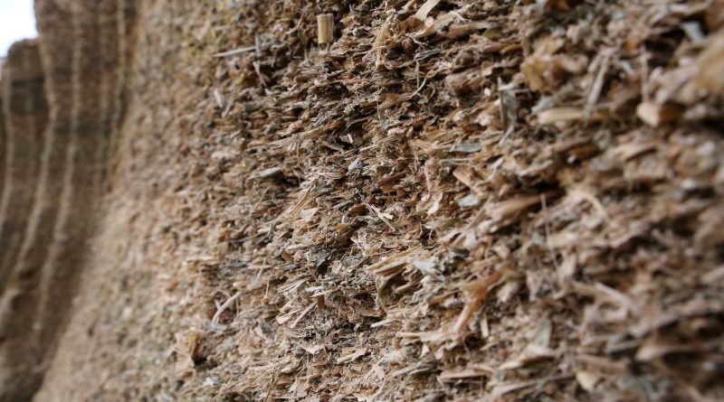 Shredlage pod lupą nauki i praktyki. Czy technologia dłuższego cięcia kukurydzy się opłaca? Shredlage pod lupą nauki i praktyki. Czy technologia dłuższego cięcia kukurydzy się opłaca?