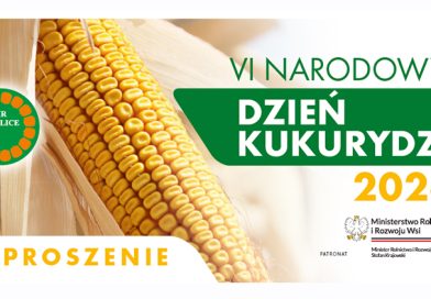 Narodowy Dzień kukurydzy 2026 Narodowy Dzień kukurydzy 2026