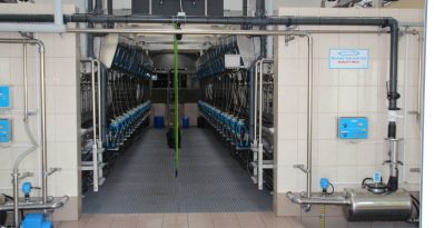 Ceny skupu mleka: Podlasie i Lubelszczyzna na czele, południe i Wielkopolska w ogonie Ceny skupu mleka: Podlasie i Lubelszczyzna na czele, południe i Wielkopolska w ogonie
