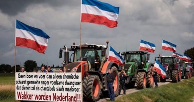 Holandia znów wrze. Hodowcy bydła mlecznego na celowniku nowych limitów środowiskowych Holandia znów wrze. Hodowcy bydła mlecznego na celowniku nowych limitów środowiskowych