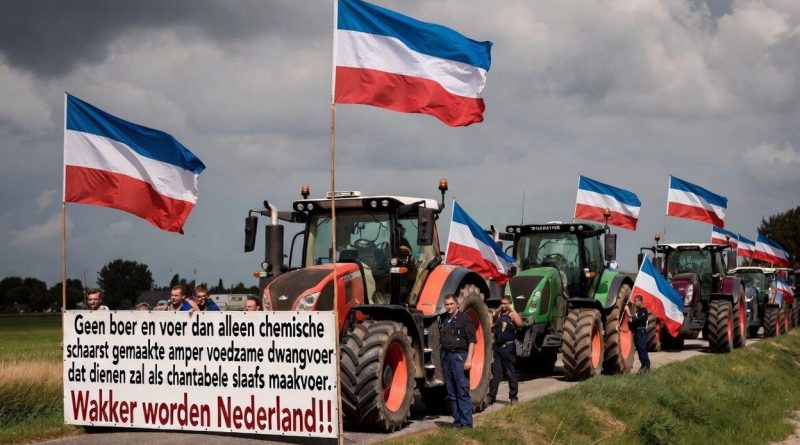 Holandia znów wrze. Hodowcy bydła mlecznego na celowniku nowych limitów środowiskowych Holandia znów wrze. Hodowcy bydła mlecznego na celowniku nowych limitów środowiskowych